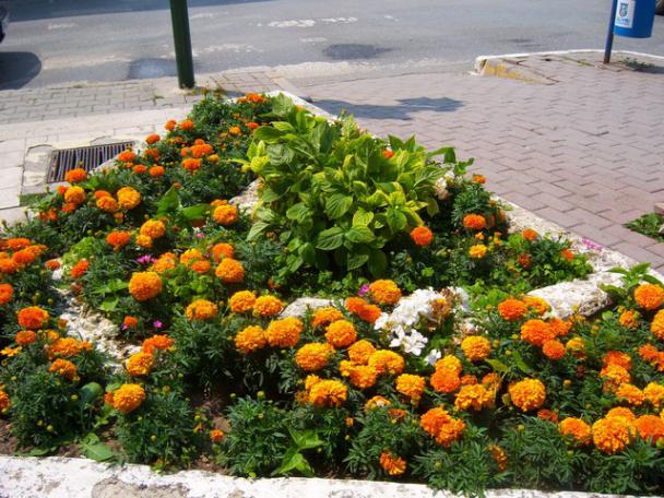Name:  100_1944.jpg
Views: 524
Size:  71.8 KB
