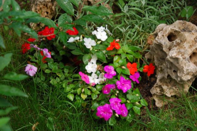 Name:  DSC_0534.jpg
Views: 738
Size:  60.4 KB