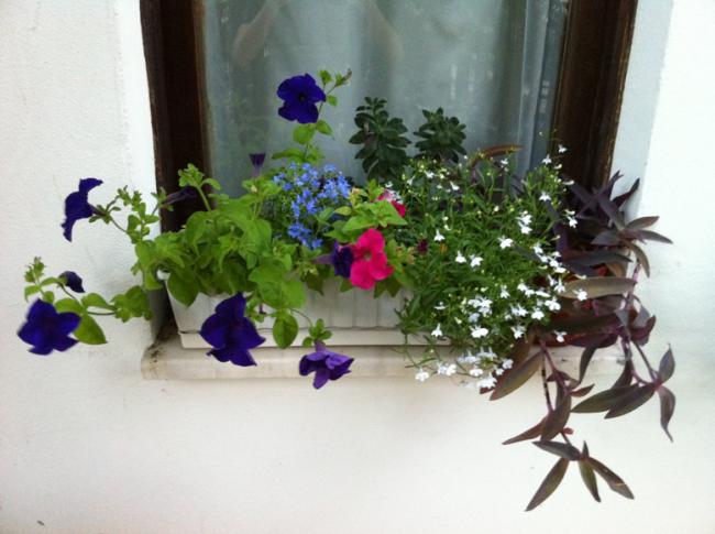 Name:  IMG_0952.jpg
Views: 997
Size:  42.0 KB