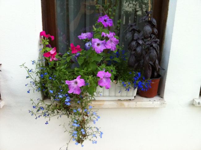 Name:  IMG_0953.jpg
Views: 957
Size:  40.3 KB