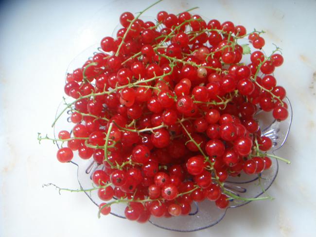 Name:  Frenk 6.jpg
Views: 1352
Size:  45.5 KB