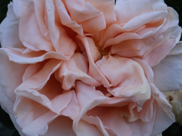 Name:  DSC01548_637x478.JPG
Views: 455
Size:  68.3 KB
