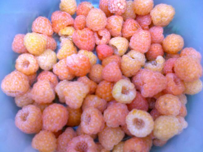 Name:  020720111246.jpg
Views: 616
Size:  44.6 KB