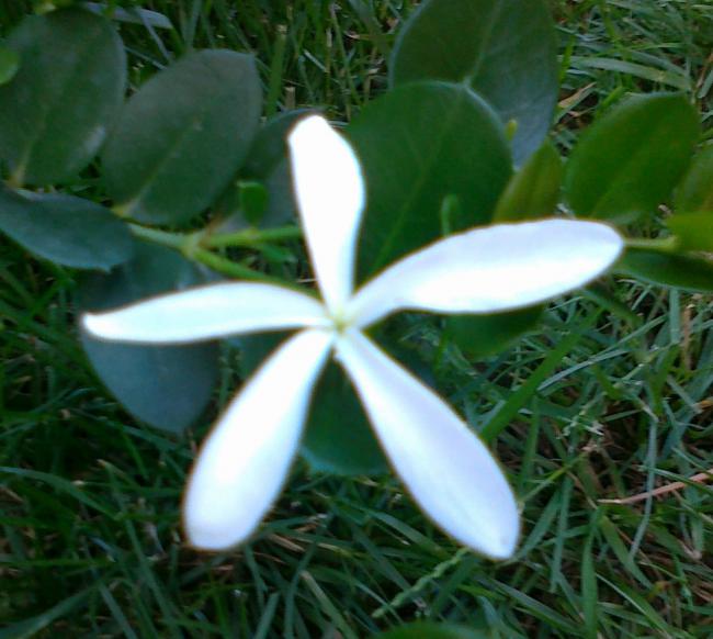 Name:  030720111251.jpg
Views: 617
Size:  48.8 KB