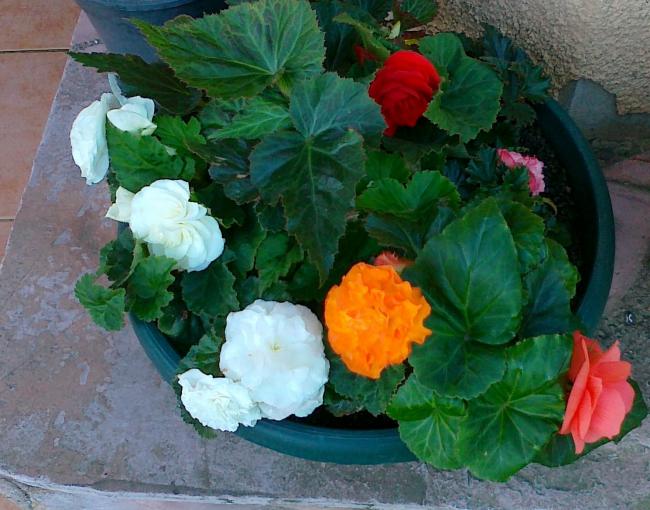 Name:  030720111278.jpg
Views: 573
Size:  56.7 KB