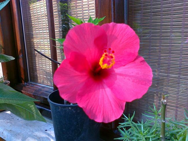 Name:  030720111282.jpg
Views: 607
Size:  66.8 KB
