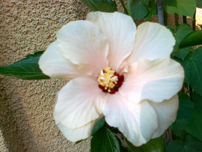 Name:  030720111285.jpg
Views: 584
Size:  50.9 KB