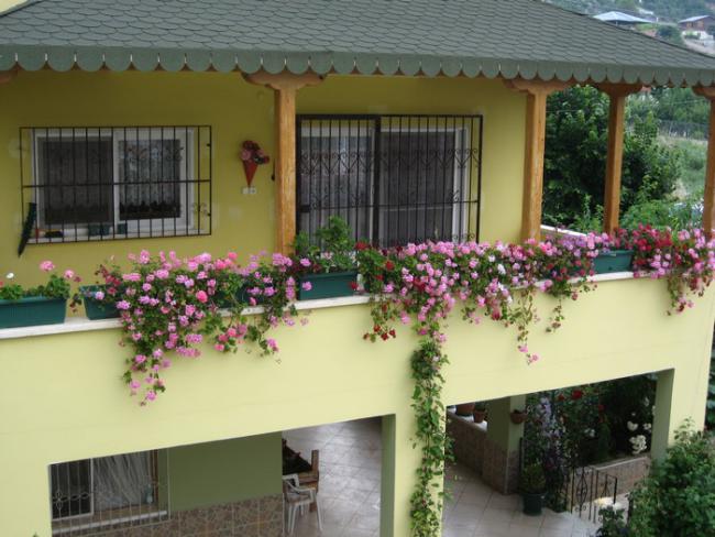 Name:  k.balkon.jpg
Views: 732
Size:  52.9 KB