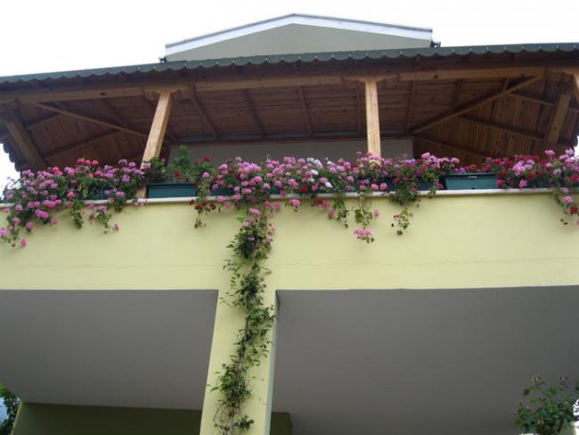 Name:  k.teras.jpg
Views: 732
Size:  33.8 KB
