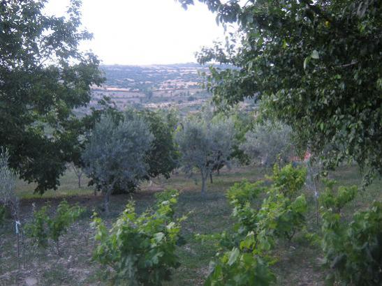 Name:  bahe.jpg
Views: 787
Size:  48.0 KB