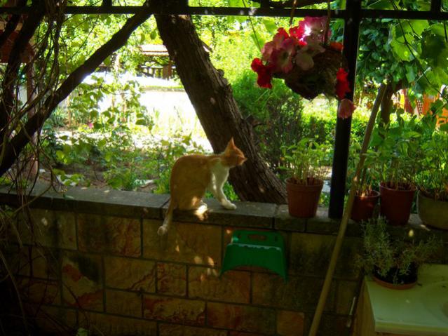 Name:  100_2004.jpg
Views: 430
Size:  59.7 KB