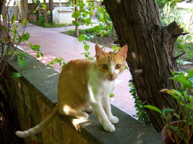 Name:  100_2005.jpg
Views: 418
Size:  57.1 KB
