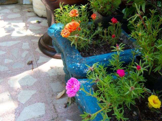 Name:  100_2024.jpg
Views: 417
Size:  59.7 KB