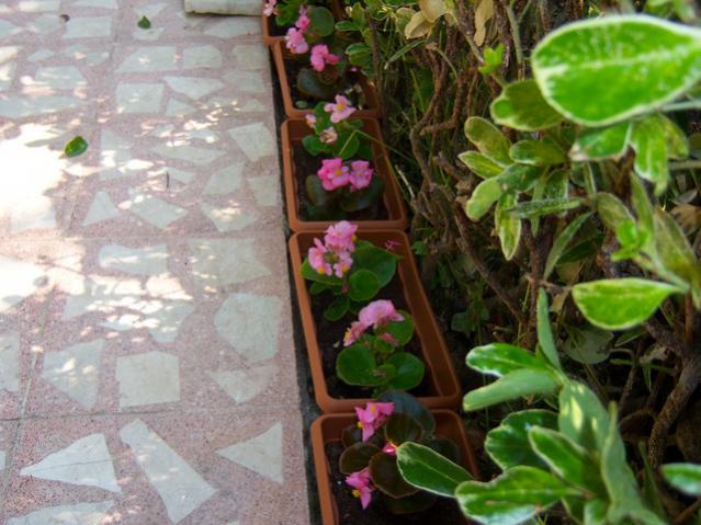 Name:  100_2038.jpg
Views: 423
Size:  52.9 KB
