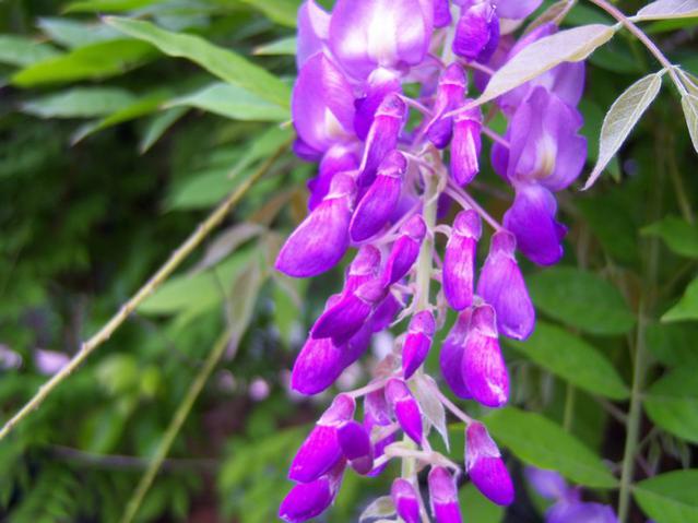 Name:  100_2054.jpg
Views: 441
Size:  44.6 KB