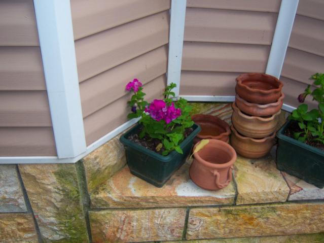 Name:  100_2065.jpg
Views: 423
Size:  41.1 KB