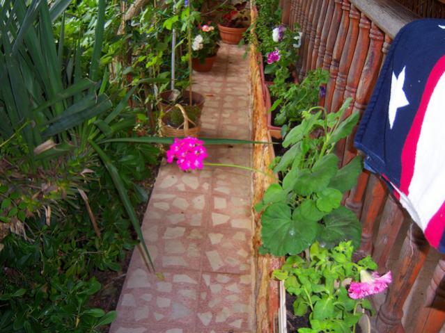 Name:  100_2071.jpg
Views: 414
Size:  59.4 KB