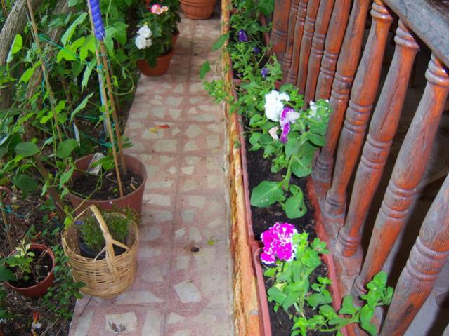 Name:  100_2072.jpg
Views: 405
Size:  65.7 KB