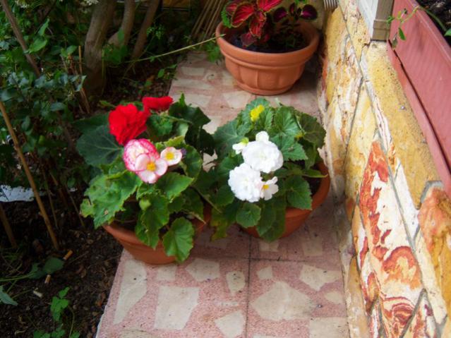 Name:  100_2073.jpg
Views: 434
Size:  54.9 KB
