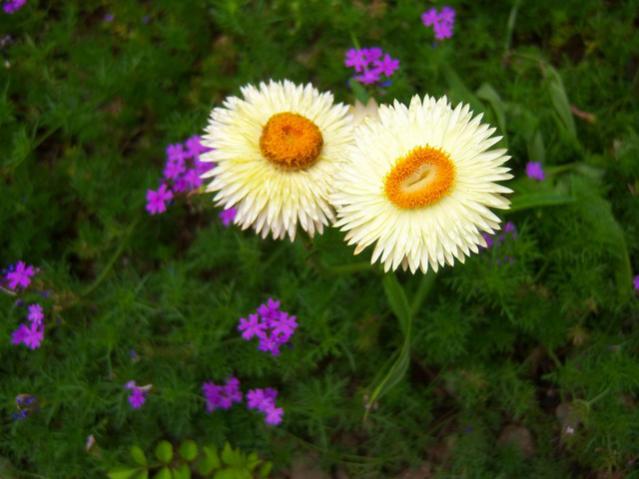 Name:  100_2076.jpg
Views: 403
Size:  39.7 KB