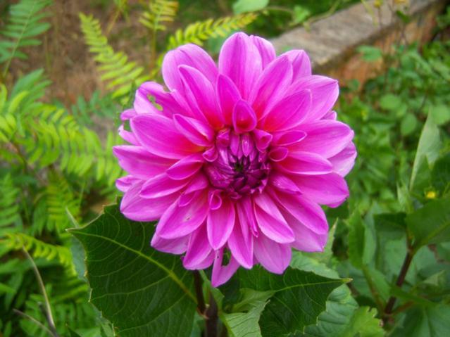 Name:  100_2079.jpg
Views: 398
Size:  46.1 KB