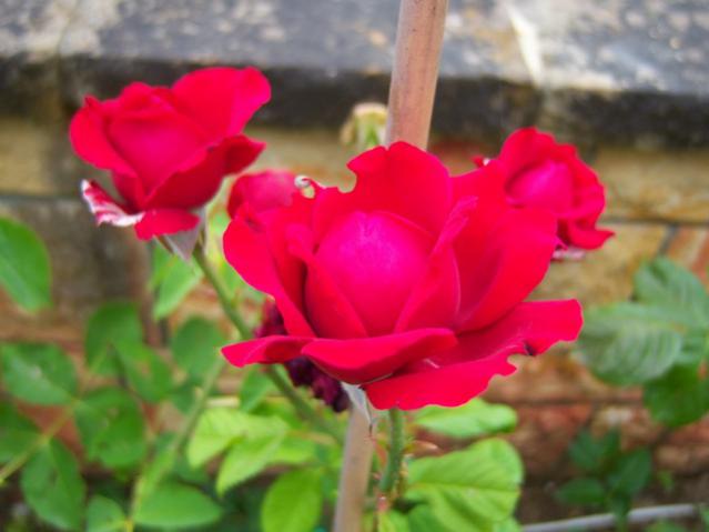 Name:  100_2095.jpg
Views: 414
Size:  31.8 KB
