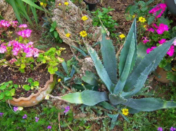 Name:  100_2099.jpg
Views: 430
Size:  72.4 KB