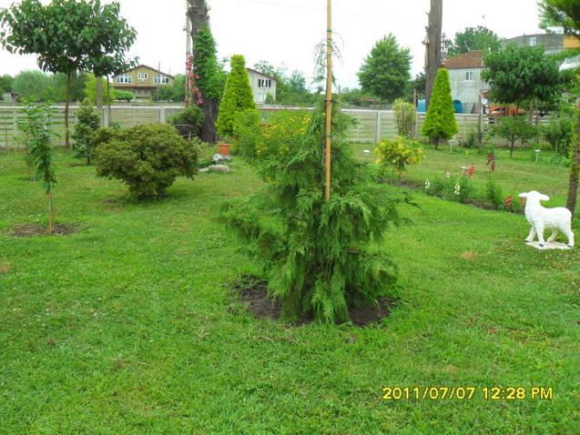 Name:  124.jpg
Views: 691
Size:  70.1 KB