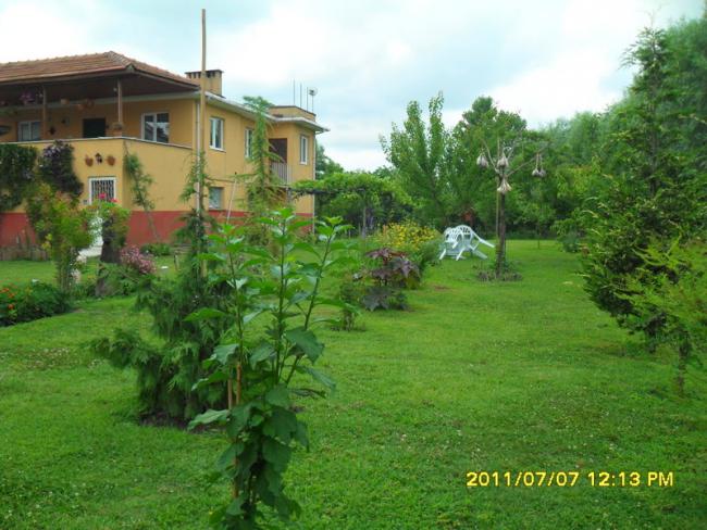 Name:  068.jpg
Views: 735
Size:  57.5 KB