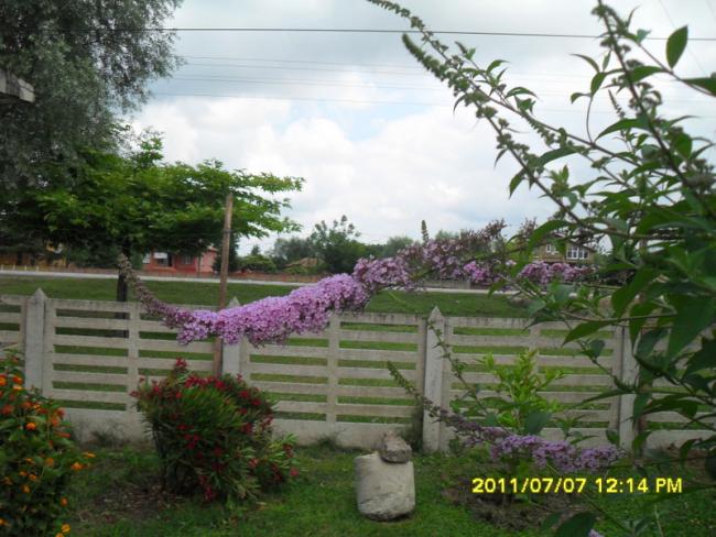 Name:  070.jpg
Views: 682
Size:  58.8 KB