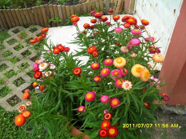 Name:  005.jpg
Views: 1329
Size:  71.2 KB