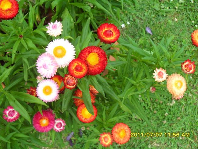 Name:  003.jpg
Views: 1050
Size:  64.1 KB