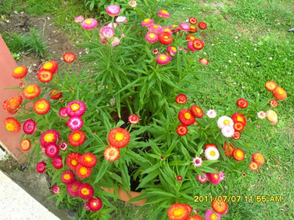 Name:  001.jpg
Views: 826
Size:  71.9 KB