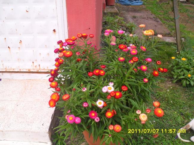 Name:  009.jpg
Views: 741
Size:  63.5 KB