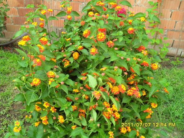 Name:  073.jpg
Views: 744
Size:  72.4 KB