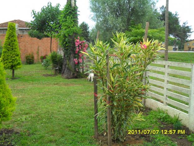 Name:  224.jpg
Views: 676
Size:  70.6 KB