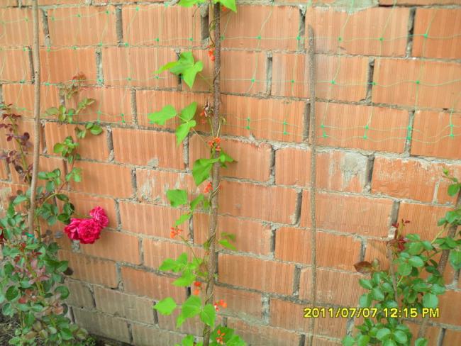 Name:  076.jpg
Views: 644
Size:  58.0 KB