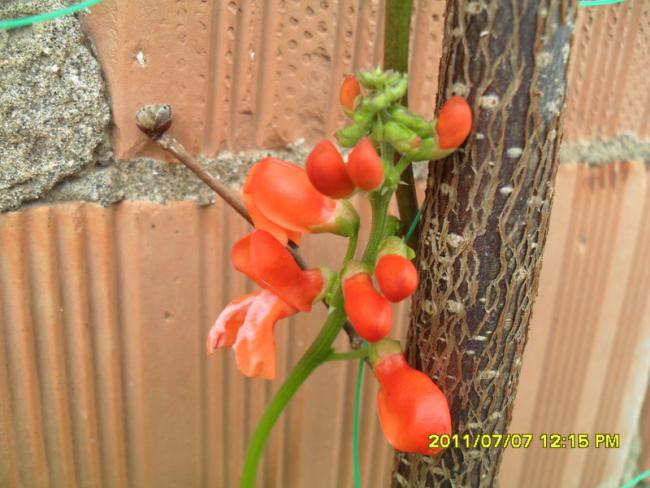 Name:  081.jpg
Views: 690
Size:  48.3 KB