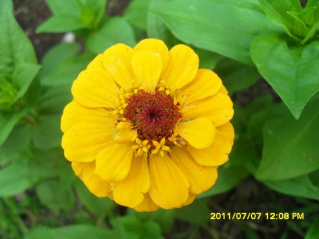 Name:  046.jpg
Views: 650
Size:  32.9 KB