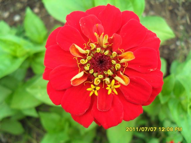 Name:  047.jpg
Views: 647
Size:  37.9 KB