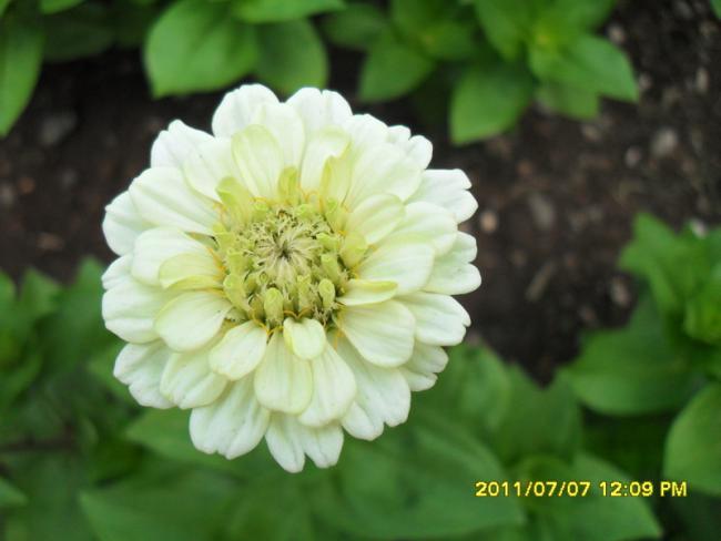 Name:  053.jpg
Views: 632
Size:  30.8 KB