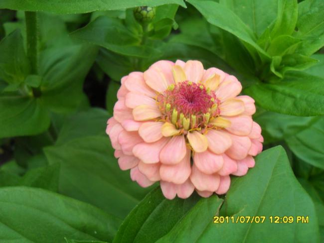 Name:  050.jpg
Views: 646
Size:  34.4 KB