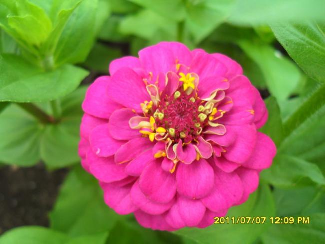 Name:  051.jpg
Views: 630
Size:  35.0 KB
