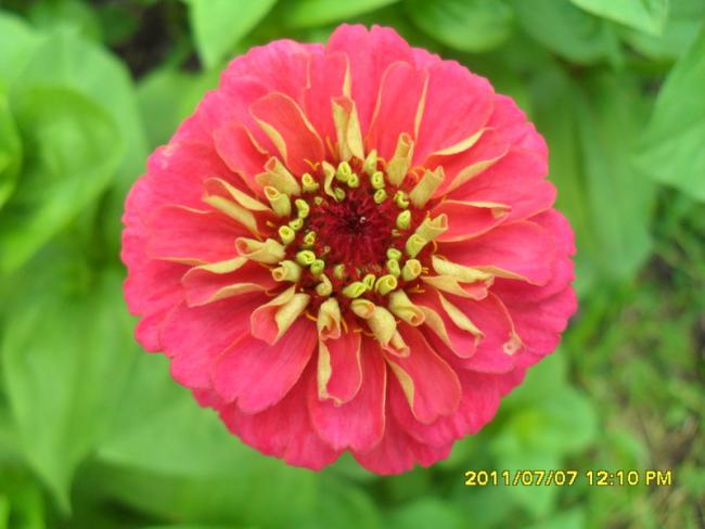 Name:  054.jpg
Views: 644
Size:  37.9 KB