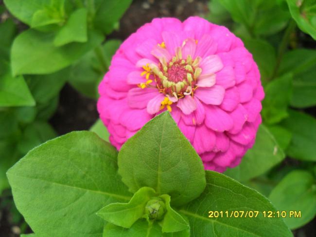 Name:  055.jpg
Views: 640
Size:  36.8 KB