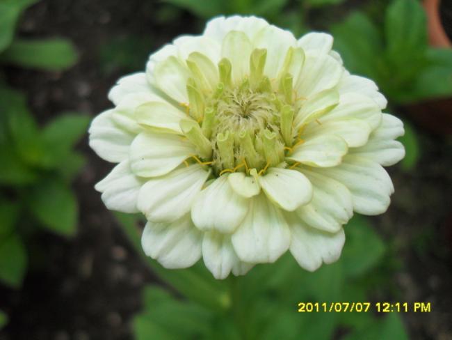 Name:  060.jpg
Views: 664
Size:  29.4 KB