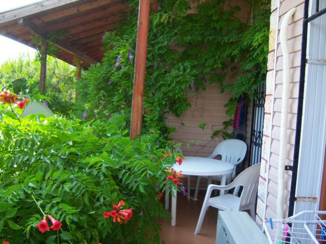 Name:  100_2117.jpg
Views: 360
Size:  60.7 KB