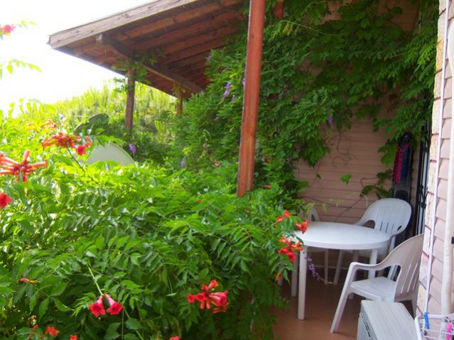 Name:  100_2118.jpg
Views: 386
Size:  60.4 KB
