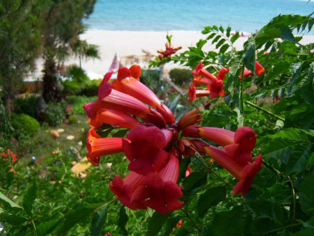 Name:  100_2119.jpg
Views: 425
Size:  52.6 KB