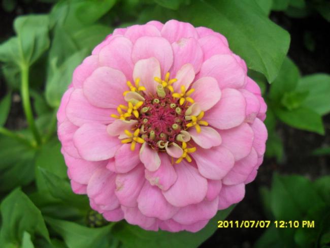 Name:  056.jpg
Views: 627
Size:  34.5 KB